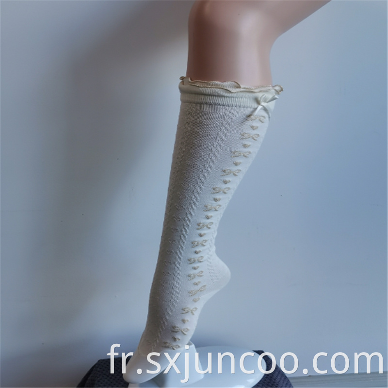 Dreamy Lace Nylon Embroidered Princess High Socks